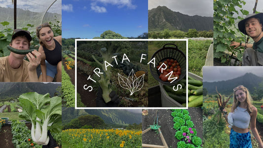 Whats Been Growing on Our Farm